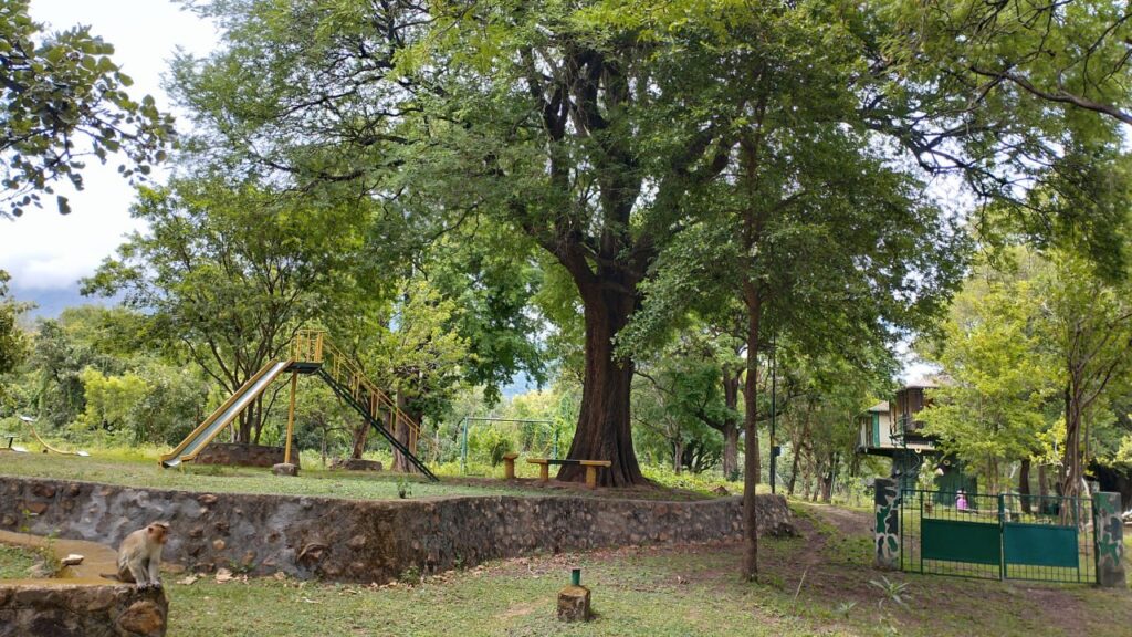 
Inside-siruvani-checkpost