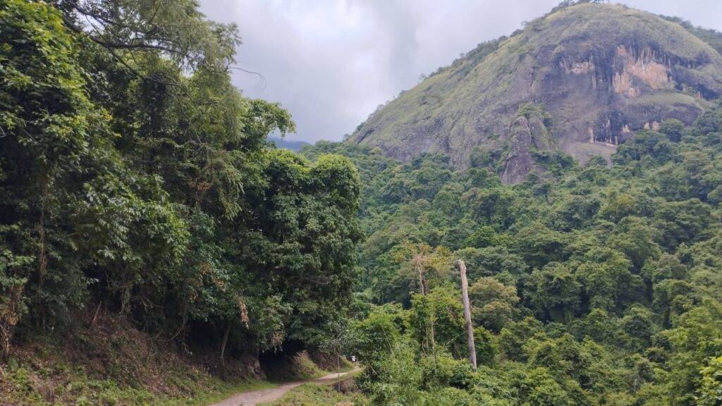 
siruvani-waterfalls-deep-forest